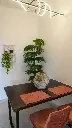 DSC05820.webp